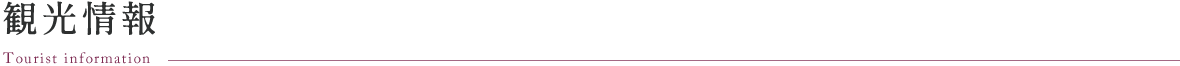 観光情報