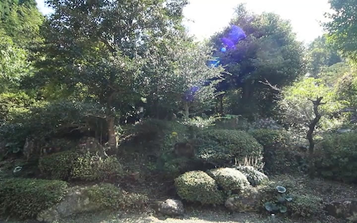 はぎ／ききょう