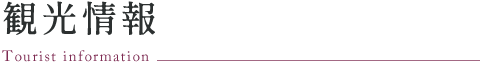 観光情報